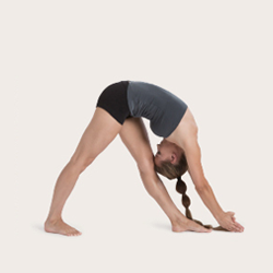 The Postures - Bikram Yoga D15